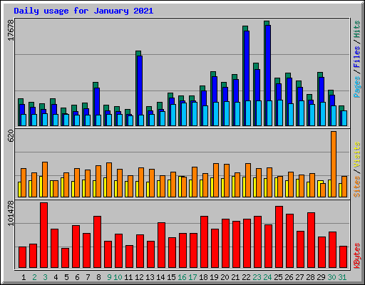 Daily usage for January 2021