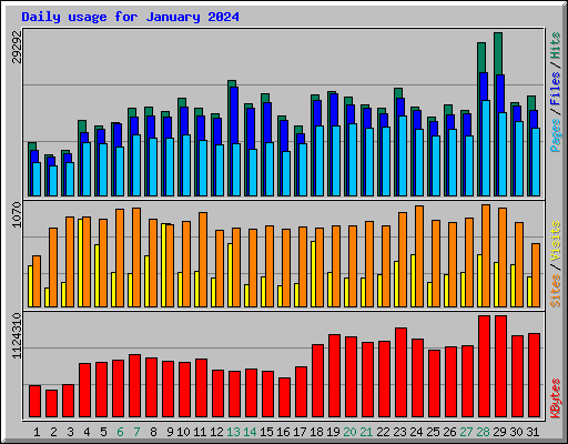 Daily usage for January 2024