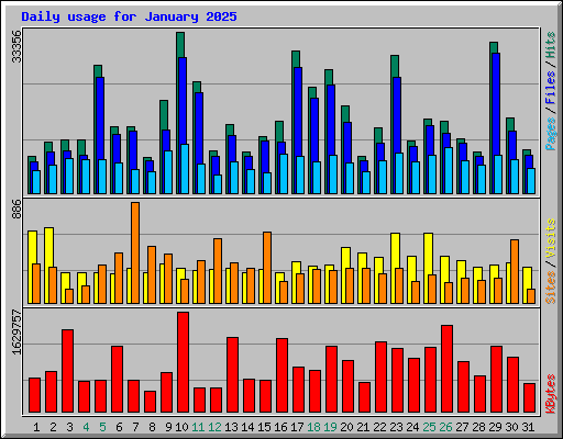Daily usage for January 2025