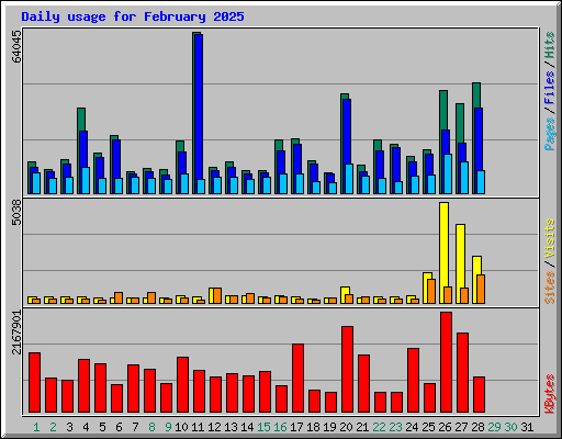 Daily usage for February 2025