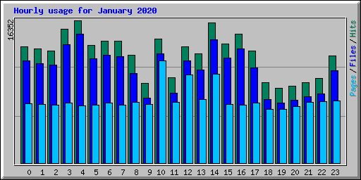 Hourly usage for January 2020