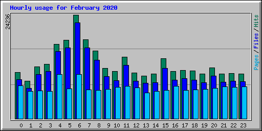 Hourly usage for February 2020