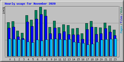 Hourly usage for November 2020