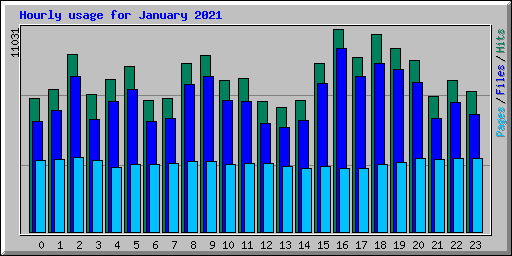 Hourly usage for January 2021