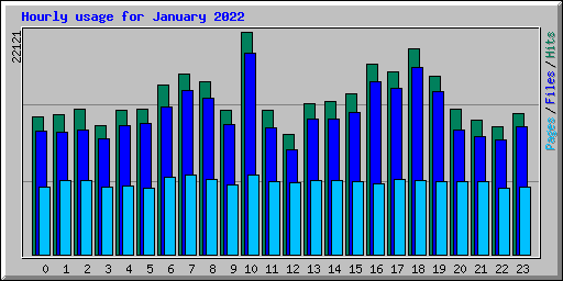 Hourly usage for January 2022