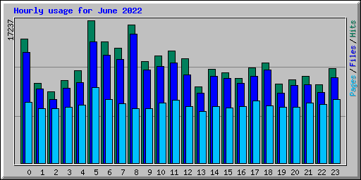 Hourly usage for June 2022