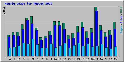 Hourly usage for August 2022