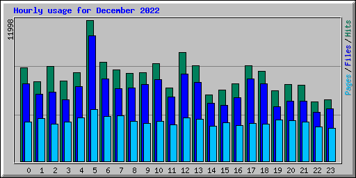 Hourly usage for December 2022