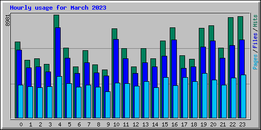 Hourly usage for March 2023