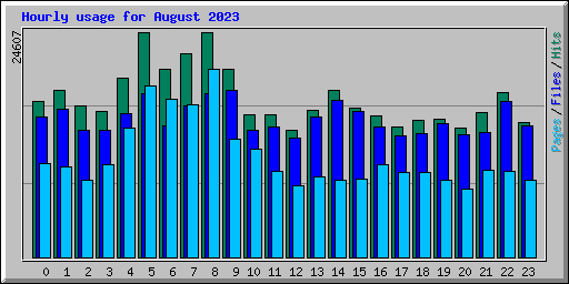 Hourly usage for August 2023