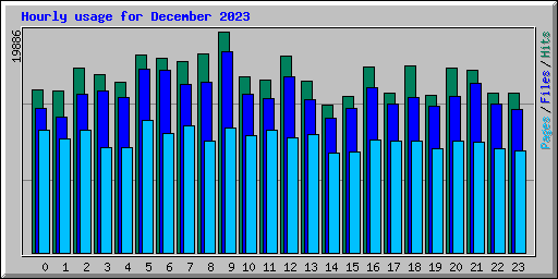 Hourly usage for December 2023