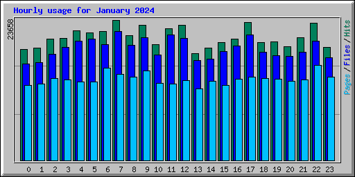 Hourly usage for January 2024