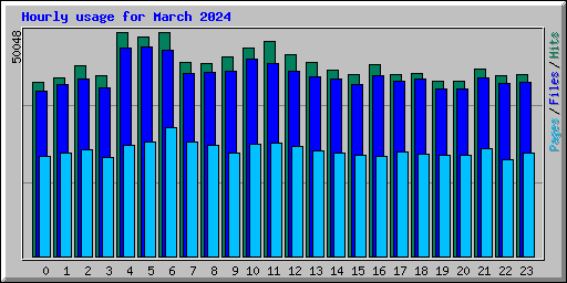 Hourly usage for March 2024