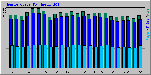 Hourly usage for April 2024