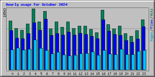 Hourly usage for October 2024