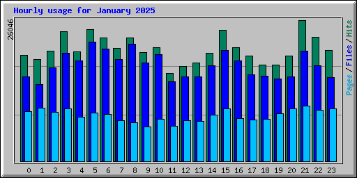 Hourly usage for January 2025