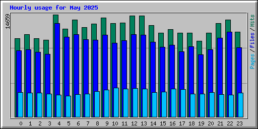 Hourly usage for May 2025